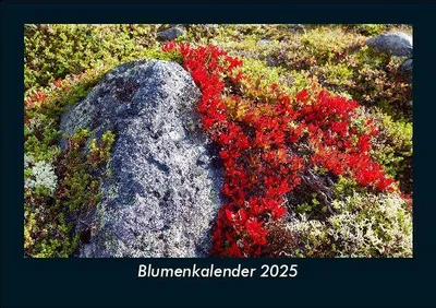 Produktbild von Blumenkalender 2025 Fotokalender DIN A5