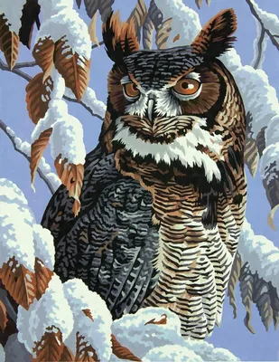 Produktbild von Malen nach Zahlen: Eule vor schneebedecktem Hintergrund, 50 x 40 cm, mit kreativem Rahmen