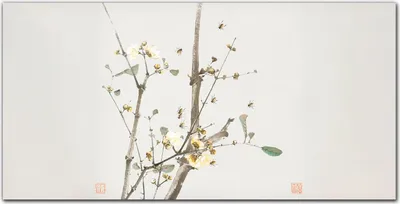 Produktbild von Coloray Küchenrückwand 140x70 Spritzschutz aus Glas - Insekten und Blumen