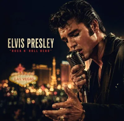Obrázek produktu pro Elvis Presley - Rock N' Roll Hero (LP)