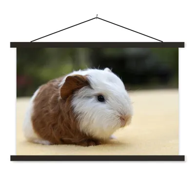 Produktbild von MuchoWow® Textilposter Junges Meerschweinchen 60x40 cm mit schwarzem Rahmen - Hölzernes