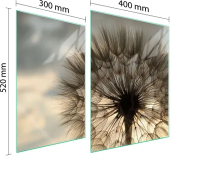 Produktbild von Glasschutzplatte Für Herd 70X52 Blume