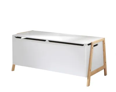 Image de CALICOSY - Coffre de rangement avec 2 compartiments pour enfant L99 cm - LEON