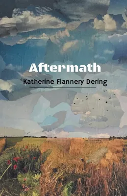 Produktbild von Aftermath