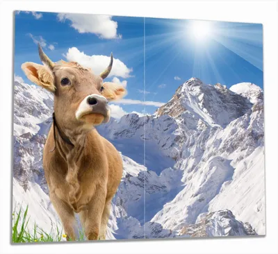 Produktbild von Wallario Herdabdeckplatte aus Glas, Größe 60 x 52 cm 2-teilig, Motiv Kuh im Sonnenschein in den Alpen