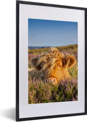 Produktbild von MuchoWow® MuchoWow® Gerahmtes Poster Schottische Hochlandrind - Heide - Gras - Tiere 40x60 cm - Poster mit zchwarzem Bilderrahmen - Poster in Rahmen