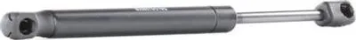 Produktbild von RIDEX 219G0156 Gasfeder Heckklappendämpfer für MAZDA 6 (GG) 287mm