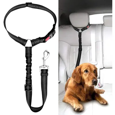 Immagine prodotto di Cintura di sicurezza per cani, regolabile con elastico, colore nero