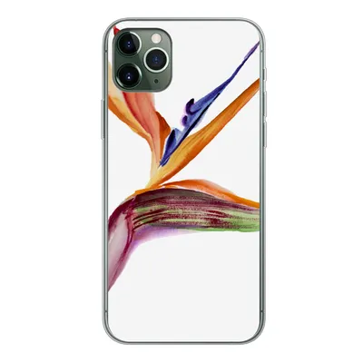 Produktbild von MuchoWow® Handyhülle Schutzhülle Hülle für iPhone 11 Pro Max Strelitzia - Aquarell - Blumen Silikon Softcase Handy Hülle - Schutz