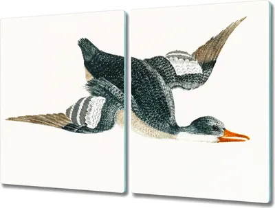 Produktbild von Coloray Herdabdeckplatte 2x40x52 cm Schneidebrett Kochplattenabdeckung Küchenbrett Hackbrett - Tiere Vögel Enten