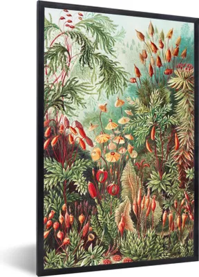 Produktbild von MuchoWow® Gerahmtes Poster Blumen - Kunst - Vintage - Natur - Botanisch 60x90 cm - Poster mit Schwarzem Bilderrahmen Wandposter Rahmen Foto Bilder - Kunst