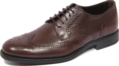 Produktbild von G2356 scarpa allacciata uomo TOD'S derby leather brown shoe man