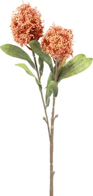 Produktbild von Dekorative Skimmia Kunstblume im DryLook für stilvolle Herbstdekorationen, 3 Stück