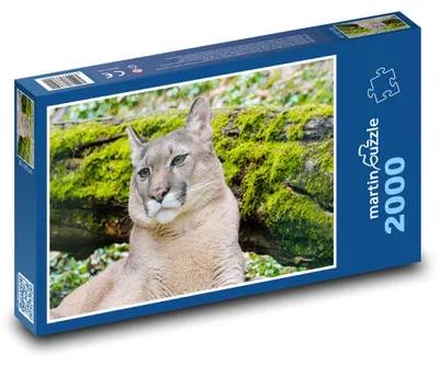 Obrázek produktu pro Puzzle 2000 Puma v divočině - martinpuzzle