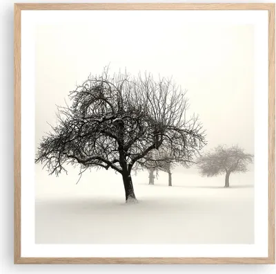 Produktbild von Gerahmtes Poster - Rahmen in heller Eiche - Bäume Schnee Nebel - 60x60 cm - Wand Bild - Wanddeko - Wandbilder - Wandposter - Bilderrahmen - Bilder - Kunstdruck - Wandbild - P2NAC60x60-4136