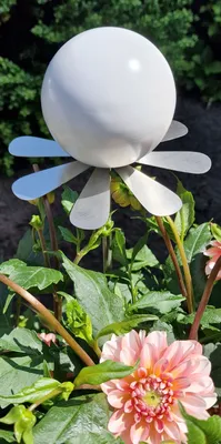 Produktbild von Blütenzauber Rotterdam Rosenkugel 10 cm Edelstahl weiß matt gebürstet Gartenstecker Deko mit Stab 80 cm