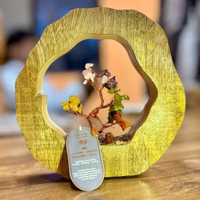 Imagen del producto de Jardín de Árbol de Gemas - Anillo de Madera - Siete Chakras - 60 Chips