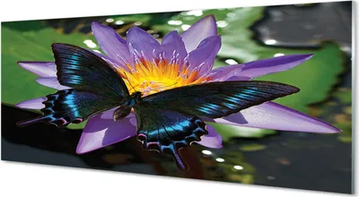 Produktbild von Glasbilder 125x50 Wandkunst Schmetterling Blume