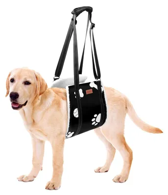 Immagine prodotto di Trasportino regolabile per cani, ideale per supportare cani malati o anziani
