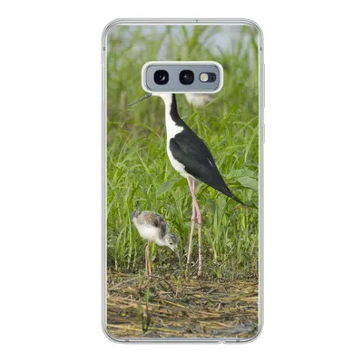 Produktbild von MuchoWow® Handyhülle Schutzhülle Hülle für Samsung Galaxy S10e Vogel - Gras - Küken - Sumpf Silikon Softcase Handy Hülle - Handy