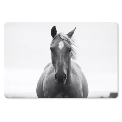 Produktbild von MuchoWow® Schreibtischunterlage Pferd - Tier - Schwarz - Weiß 60x40 cm - XXL Mauspad - Großes Mauspad