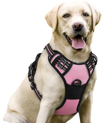 Image de Harnais pour chien anti-traction, couleur rose, taille L, réglable, respirant, avec réflecteur