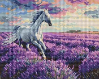 Produktbild von Diamantmosaik – Lavendelfeld, 40x50 cm – Ideyka