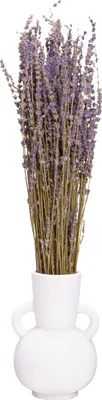 Produktbild von QUVIO Vase - Vasen - Blumenvase - Keramikvase - Kleine Vase - Weiße Vase - Vase weiß - Trockenblumenvase - Dekorative Vase - Kleine Vase - Keramikvase - Keramikvase - Vase für Blumen - Keramik - Weiß