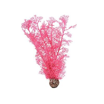 Obrázek produktu pro biOrb Sea fan M pink