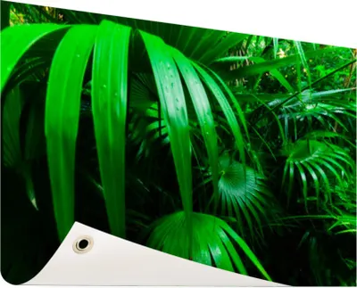 Produktbild von Gartenposter - 120x80 cm - Palmblätter im Dschungel  - Modernes Wandbilder - Natur