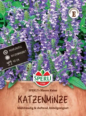 Produktbild von SPERLI Katzenminzesamen Blauer Kater Nepeta x faassenii 90 Pflanzen