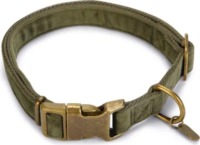 Immagine prodotto di Designed by Lotte Velura - Collare per cani - velluto - verde - 26-40cmx15mm