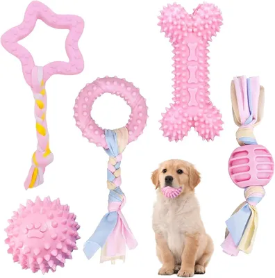 Produktbild von Hundespielzeug 5 Stück, rosa, für Welpen, interaktiv, Beißspielzeug