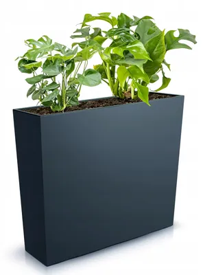 Produktbild von Botle Pflanzkasten glatt Anthrazit 58x18x50 cm mit Einsatz