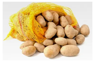 Produktbild von Raschelsäcke 100 Stück - 31 cm x 50 cm Kartoffelsack Gemüsesack Zwiebelsack