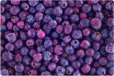 Produktbild von Küchenmatte 150x225 cm Vinylmatte Bodenmatte Dekoration - Schattenbeere Obst