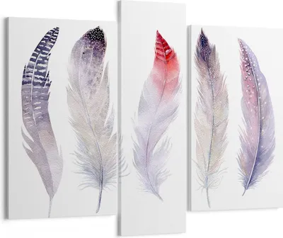 Produktbild von Bild auf Leinwand - Leinwandbild - Feder Tier Vogel Komposition - 95x80cm - Wand Bild - Wanddeko - Leinwanddruck - Bilder - Kunstdruck - Wanddekoration - Leinwand bilder - Wandkunst - CB95x80-2951