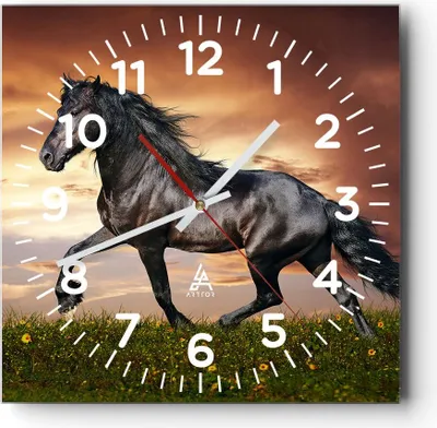 Produktbild von Wanduhr - Quadrat - Glasuhr - Pferd Tier Wiese - 30x30cm - Schleichendes Uhrwerk - Lautlos - zum Aufhängen bereit - Dekoration Modern - Wanddekoration aus Glas - C4AC30x30-2608