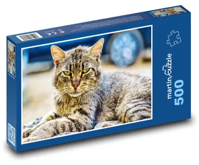 Zdjęcie produktu dla martinpuzzle - Puzzle 500 - Kot domowy