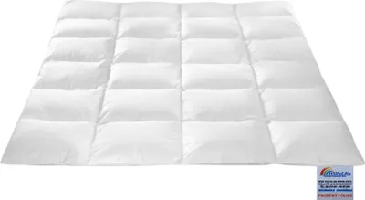 Produktbild von Natürliche, Baumwolle, Decke Bettdecke 100% Daunen, 200/200, 1,80 kg, weiss