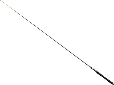 Produktbild von Bullseye Hangman 2,30m 10-50g - Spinnrute