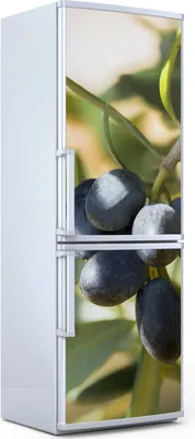 Produktbild von Magnete Dekorative - 60 cm x 180 cm - Küche Magnetmatte Kühlschrankmagnete - Oliven Motive