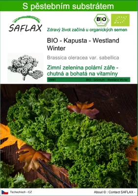 Obrázek produktu pro SAFLAX - BIO - Kapusta - Westland Winter - Brassica oleracea var. sabellica - 70 Semena - S pěstebním substrátem bez klíčků