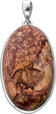Produktbild von Jaspis Anhänger Silber 925 brauner Vogelaugen Edelstein 30ct