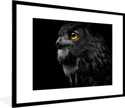 Produktbild von MuchoWow® Gerahmtes Poster Eule - Vogel - Schwarz - Porträt 80x60 cm - Poster mit Schwarzem Bilderrahmen Wandposter Rahmen Foto Bilder - Schlafzimmer-Dekorationen - Fotoposter