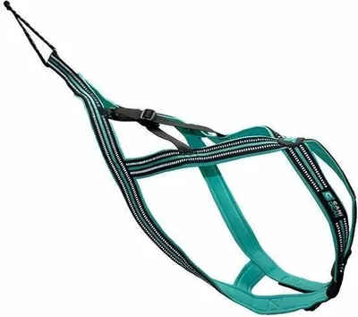 Obrázek produktu pro Postroj pro psy Olympia XL