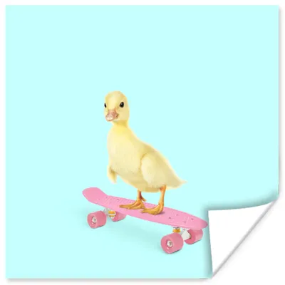 Produktbild von MuchoWow® Poster Ente - Küken - Skateboard - Blau - Rosa 50x50 cm - Wohnzimmerdekoration