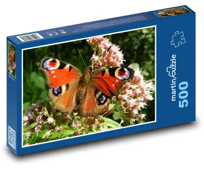 Produktbild von Puzzle 500 Tagpfauenauge Schmetterling auf Blume - martinpuzzle