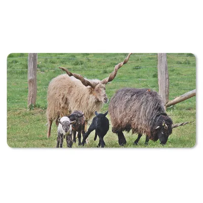 Produktbild von MuchoWow® Mauspad Mousepad Schaf - Gras - Lamm - Horn 60x30 cm - Mousepads - Maus Mat - Pad - Mausunterlage - Nachhaltig