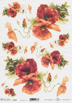 Produktbild von ITD Reispapier Decoupage Bastelpapier Softpapier, R0958 Mohnblumen
